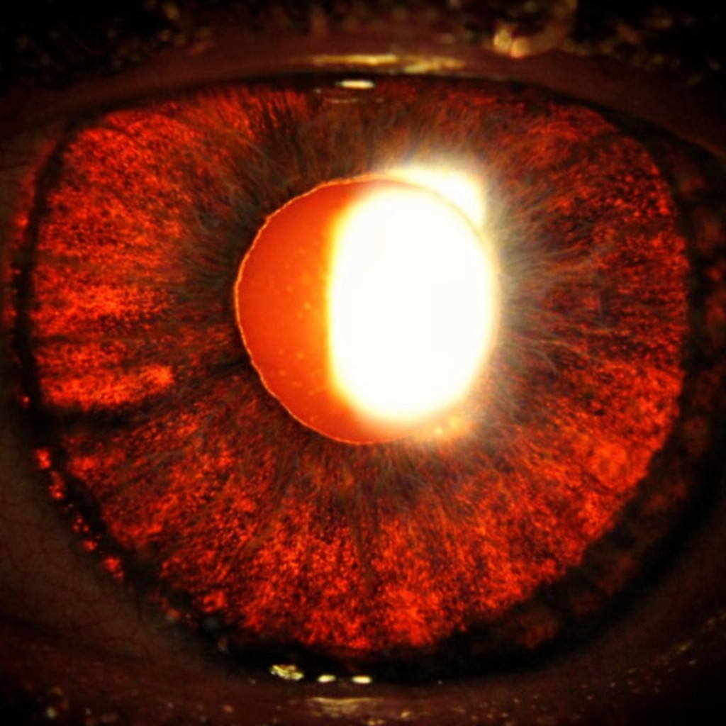 Schematische weergave diafane iris