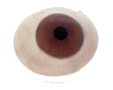 Handgeschilderde scleralens