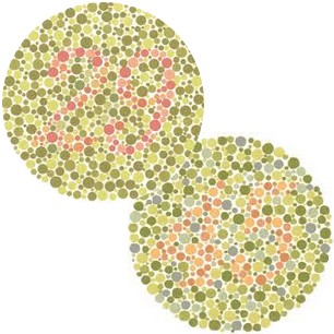 Screeningstest kleurenblindheid