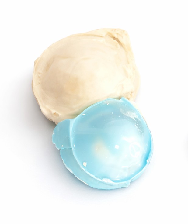 Basis oogvormen oogafdruk schelp