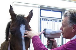 Aanpassing controle contactlens paard