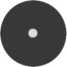 Occluderlens met pinhole