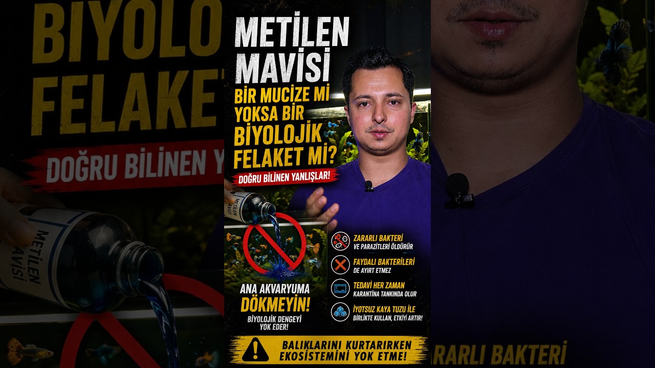Akvaryumunuz için Tehlikeli Olabilir! #metilenmavisi #akvaryum