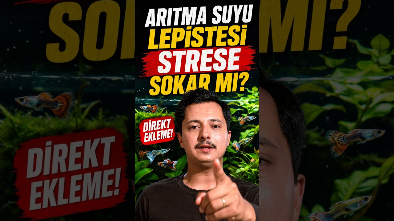 Arıtma Suyu Eklemeden Önce Bunu Yapın #Guppy #AquariumCare #Tutorial #lepistes