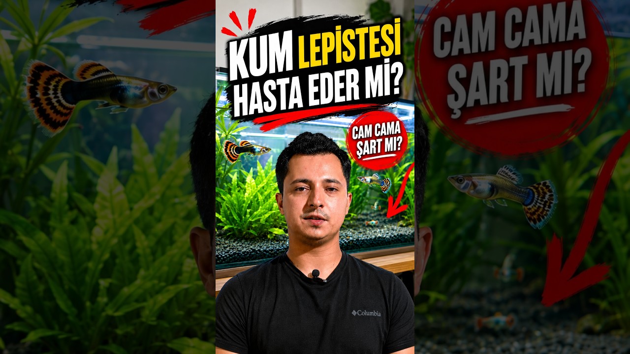 Kumda temizlik yapmak zor hale geldi #akvaryumproblemi #yardım
