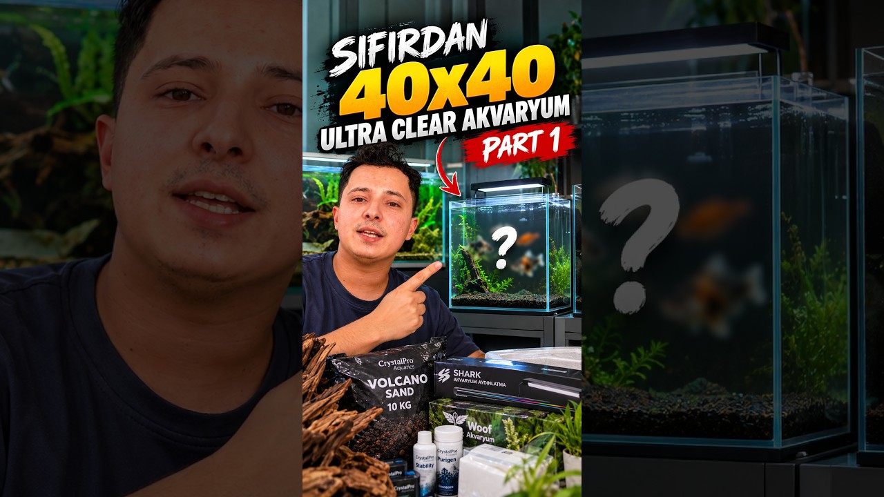 100×40 Akvaryumu BOZDUM! Sıfırdan 40×40 Kuruyorum | Part 1