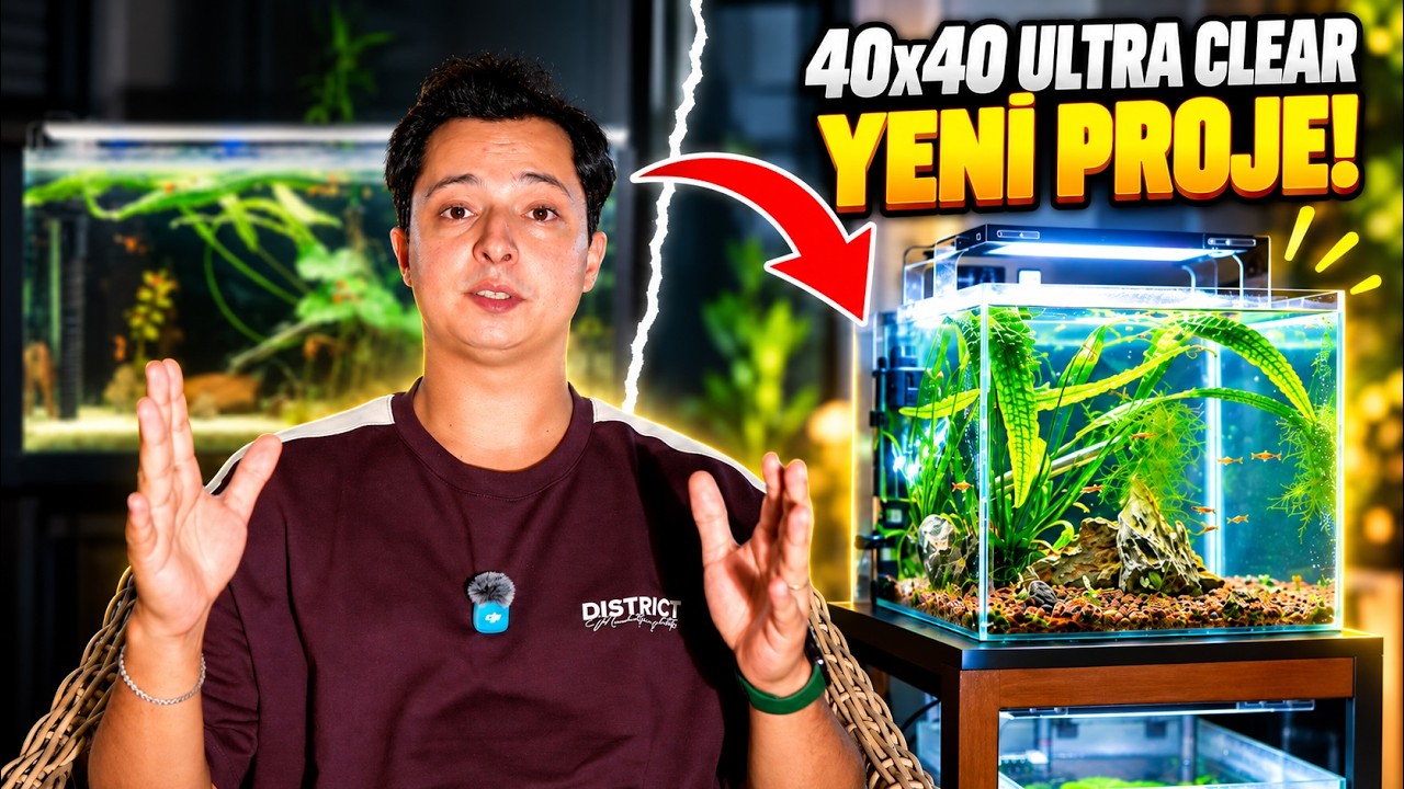 100×40×40 Akvaryuma Veda! 40×40 Ultra Clear Projesi Başlıyor!